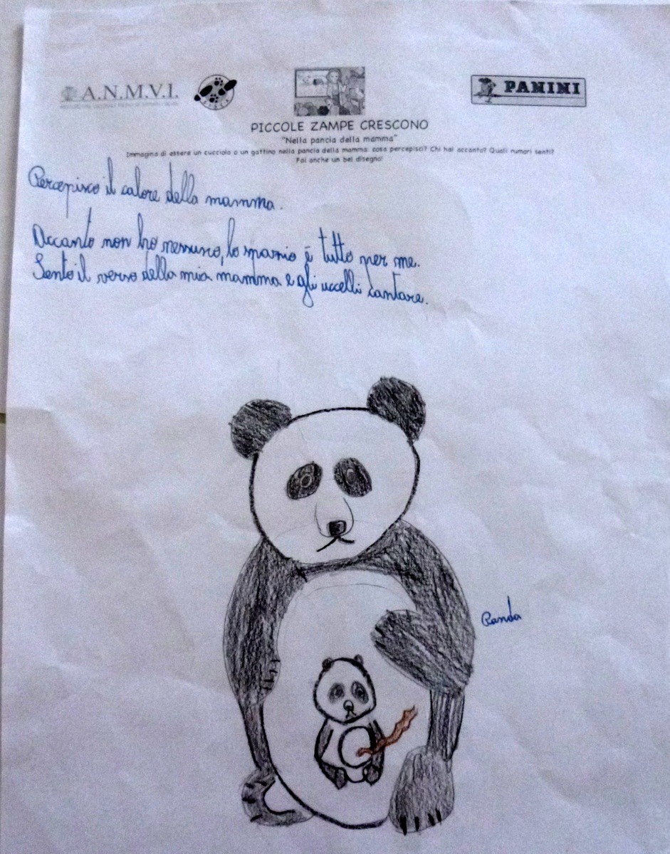 elena-Panini-ANMVI-SISCA-disegni5