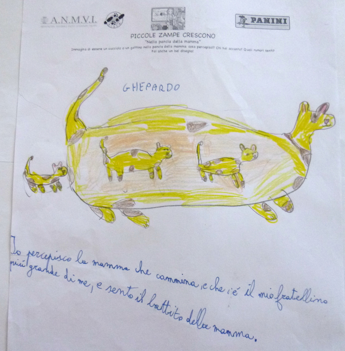 elena-Panini-ANMVI-SISCA-disegni6