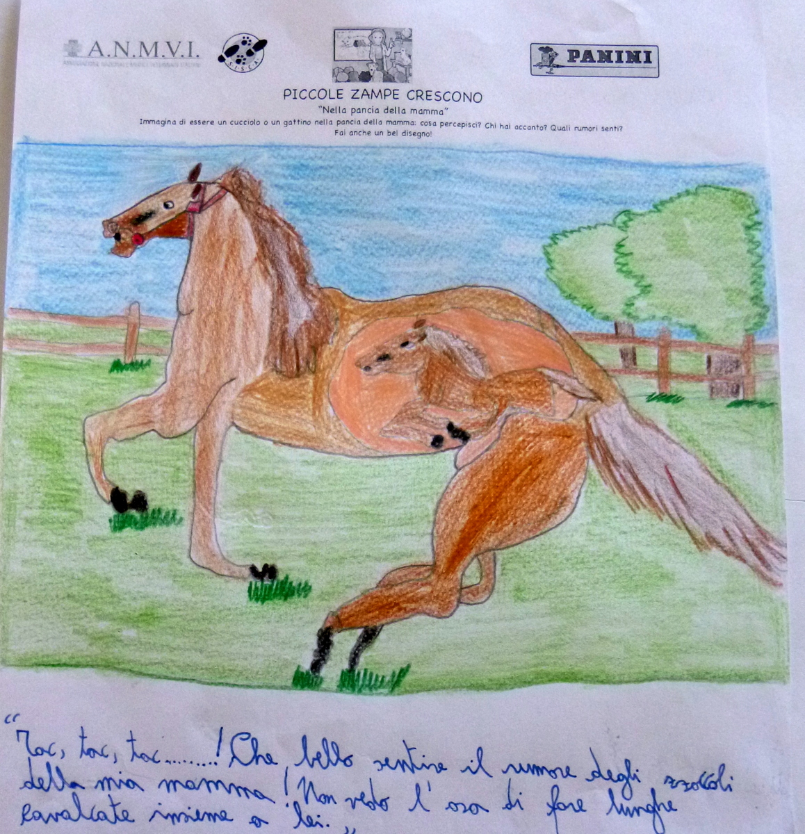 elena-Panini-ANMVI-SISCA-disegni7