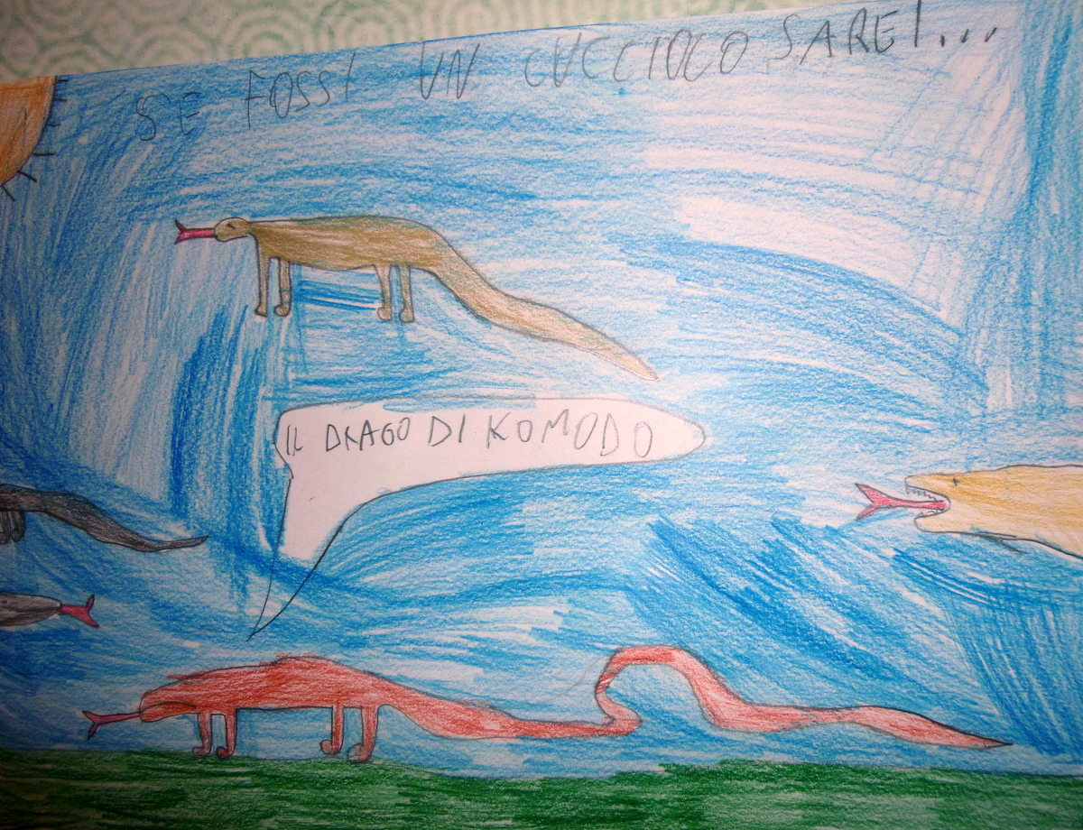 elena-Panini-ANMVI-SISCA-disegni9