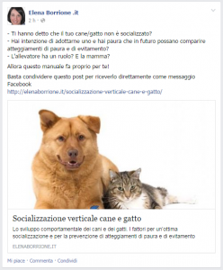 Socializzazione-verticale-fb