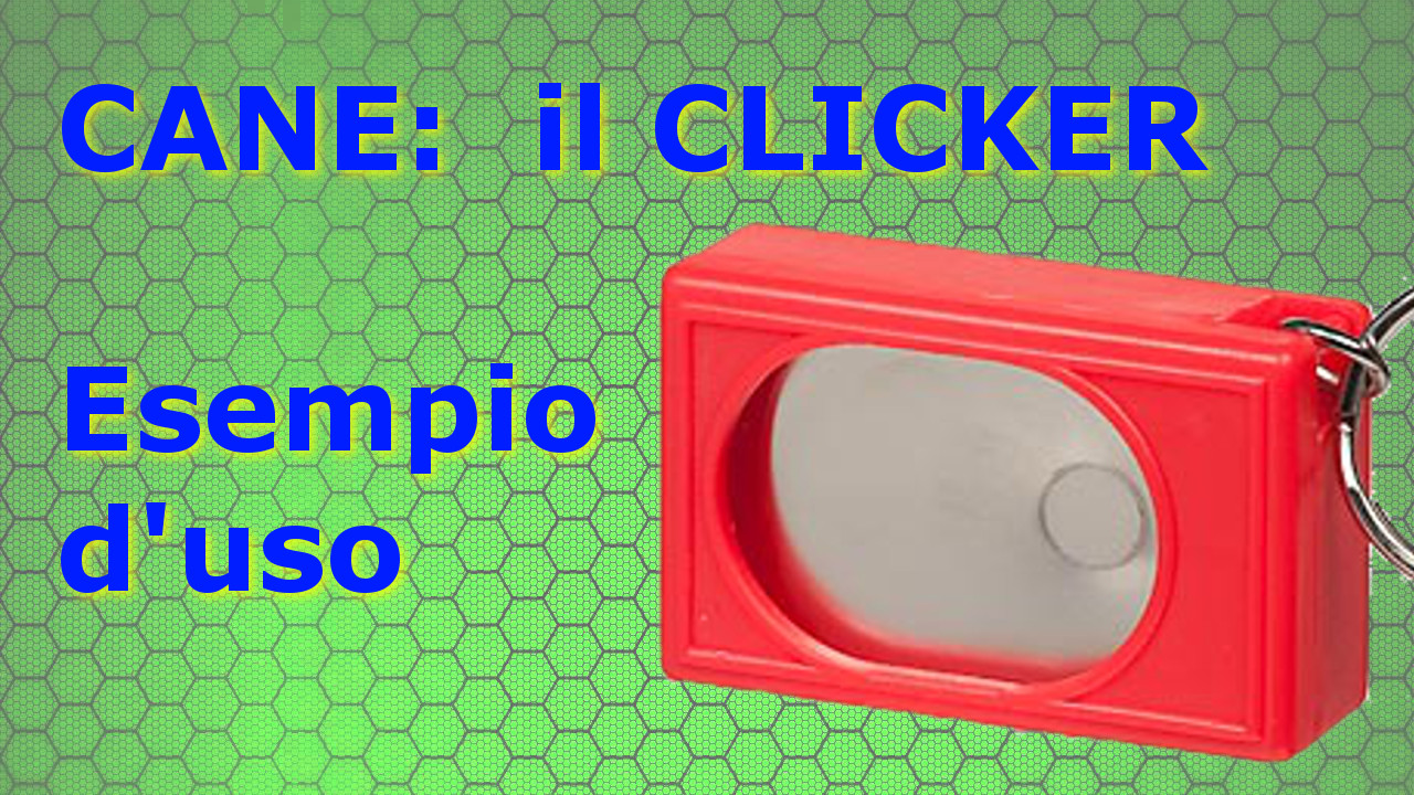 attivazione mentale il tappetino