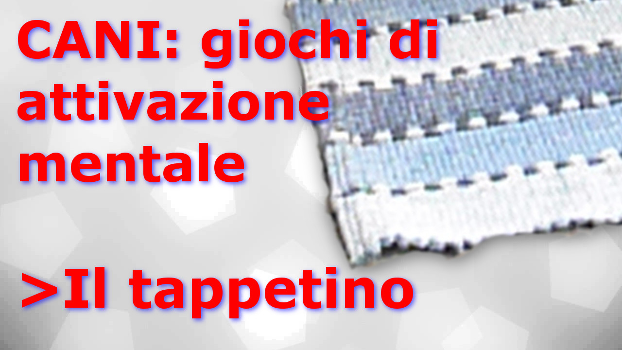 attivazione mentale il tappetino
