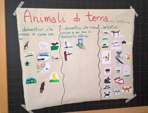 Didattica veterinaria a scuola