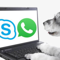 consulenze-online-squared