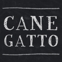 lezioni-frontali-cane-gatto lezioni frontali