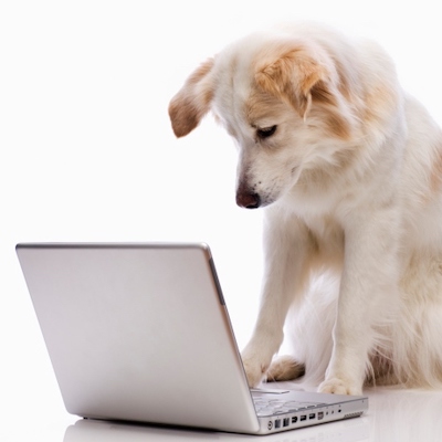 Visita Comportamentale Online